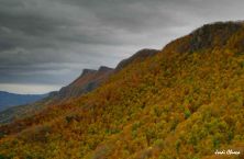 la serra dels llancers des del coll de bracons osona-garrotxa.jpg
